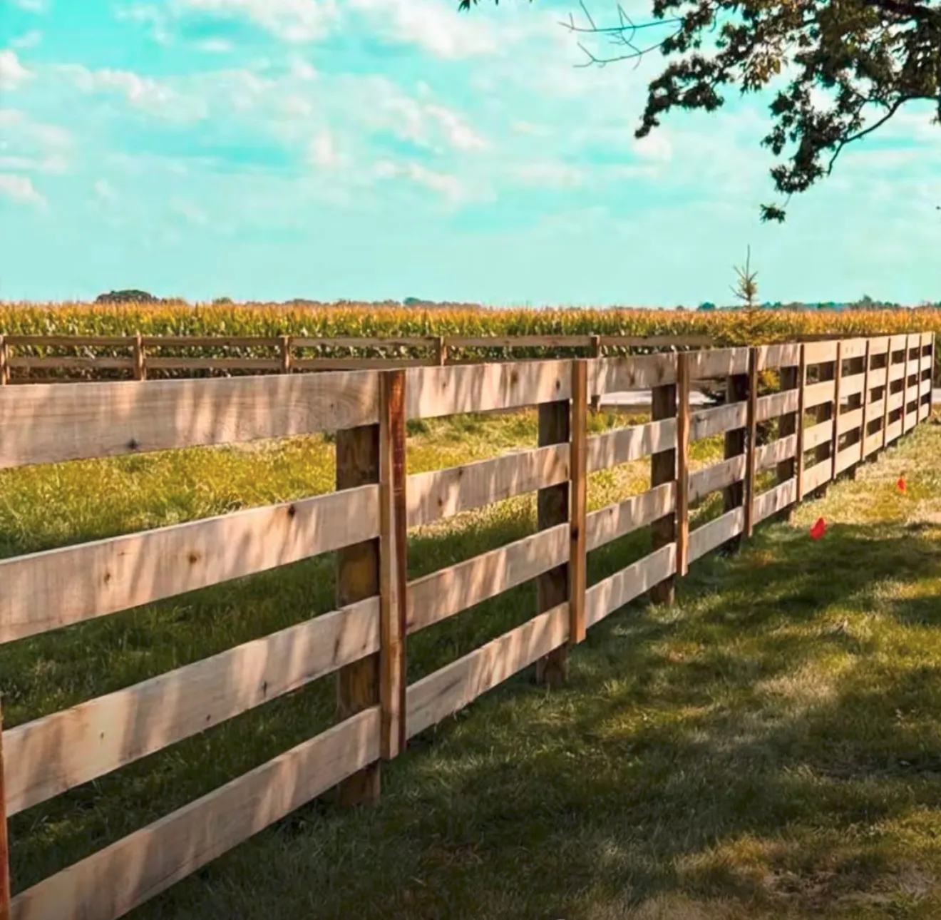 Agricultural Fences install by A Class Fencing in Calgary